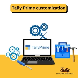 Explore Tally Customization for Your Business Needs - Mumbai